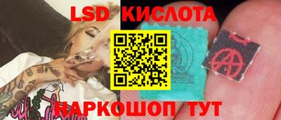 дживик Кандалакша