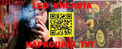 дживик Кандалакша