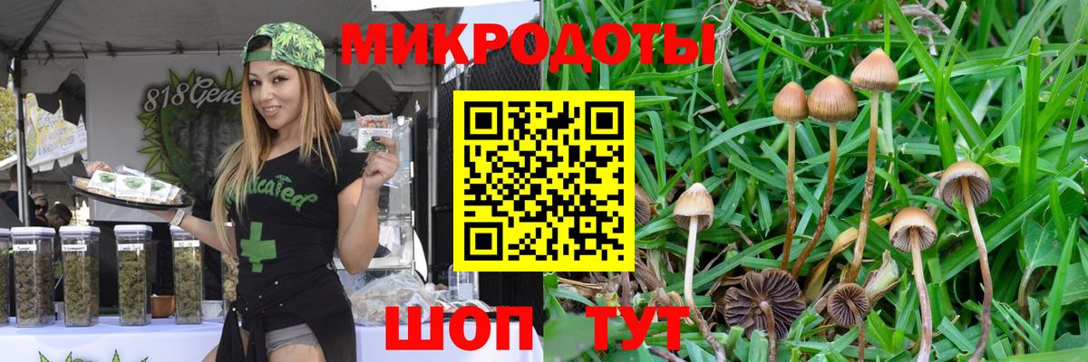 Кумертау  Галлюциногенные грибы Magic Shrooms  Вход с VPN  Галлюциногенные грибы Psilocybe 